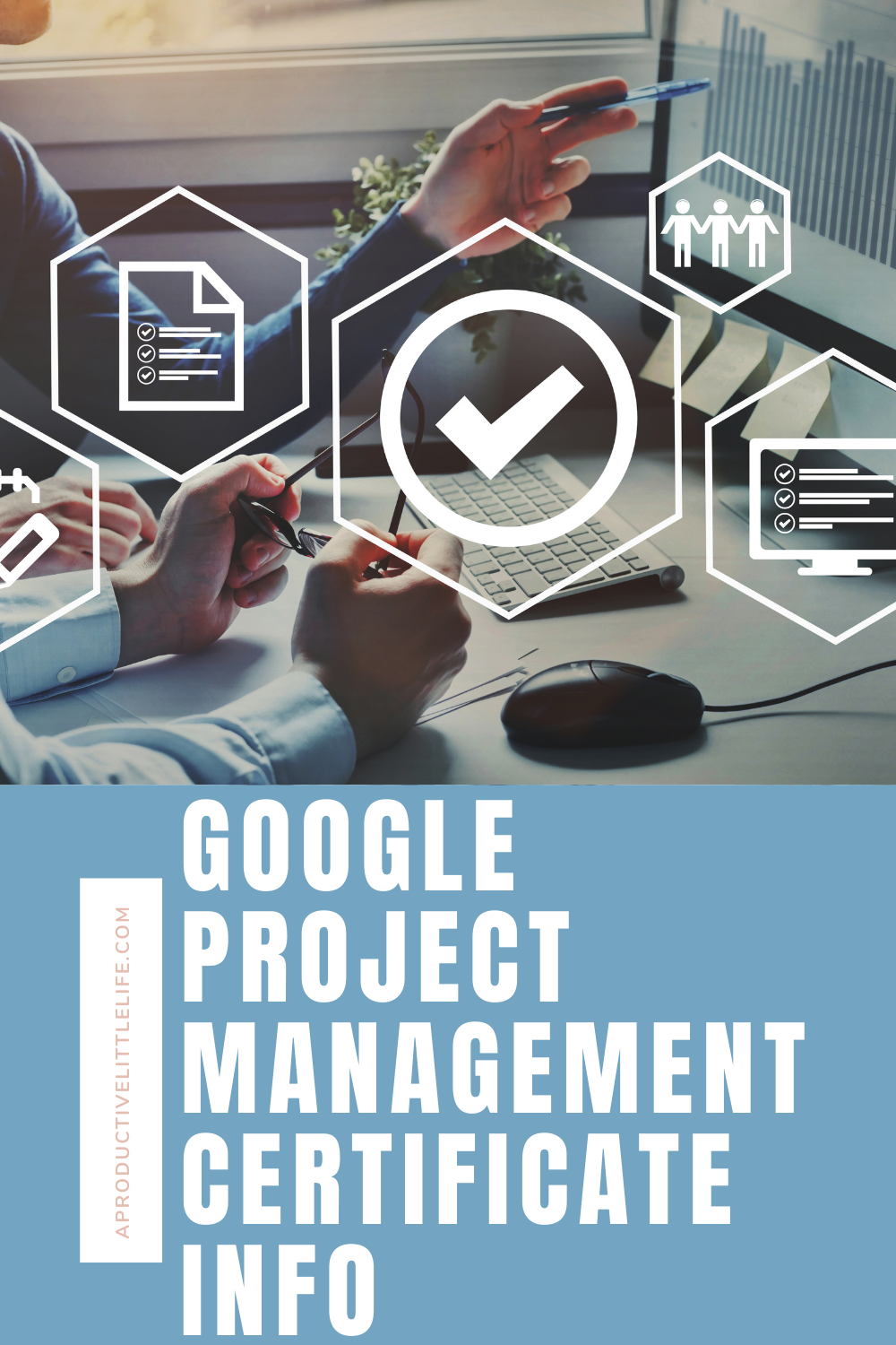 Should You Get The Google Project Management Certificate? | Shevonne ...