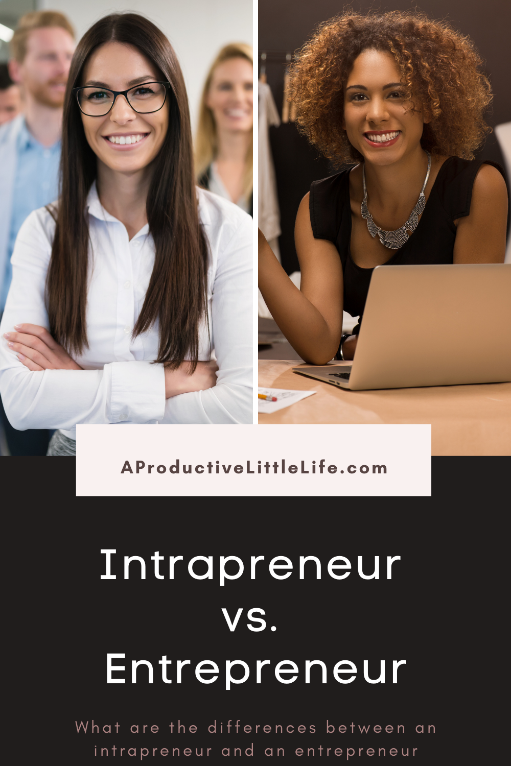 What Are The Differences Between An Intrapreneur And An Entrepreneur ...